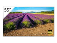 Sony FWD-55A9G - Classe 55" (54.6" visualisable) TV OLED - signalisation numérique - Smart TV - Android - 4K UHD (2160p) 3840 x 2160 - HDR - noir FWD-55A9G/T