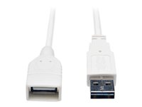 Tripp Lite 3ft USB 2.0 High Speed Extension Cable Reversible A to A M/F White 3' - Rallonge de câble USB - USB (F) pour USB (M) - USB 2.0 - 91 cm - moulé - blanc UR024-003-WH