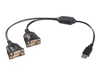 StarTech.com Câble Adaptateur USB vers 2 Ports Série RS232 - Adaptateur série - USB - RS-232 x 2 - noir ICUSB232C2