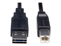 Tripp Lite 6ft USB 2.0 High Speed Cable Reverisble A to B M/M 6' - Câble USB - USB type B (M) pour USB (M) - USB 2.0 - 1.83 m - moulé - noir UR022-006