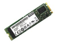 Micron 5300 - SSD - 480 Go - interne - M.2 - SATA 6Gb/s - pour ThinkAgile HX33XX Certified Node; MX3330-H Appliance; MX3531-H Hybrid Certified Node 4XB7A17073