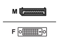 Fujitsu - Câble DisplayPort - DisplayPort (M) pour DVI-D (F) - pour Celsius W5011; ESPRIMO D6011, D7010, D7011, D9010, D9011, G5011, P5011, P7011, P9011 S26361-F2391-L200