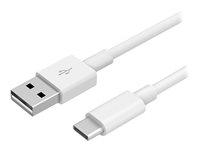 DLH - Câble USB - 24 pin USB-C (M) pour USB (M) - USB 2.0 - 3 A - 1 m - blanc DY-TU2700W