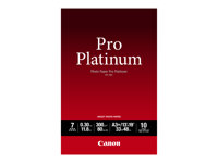 Canon Photo Paper Pro Platinum - A3 plus (329 x 423 mm) - 300 g/m² - 10 feuille(s) papier photo - pour PIXMA iP8720, IX6820, PRO-1, PRO-10, PRO-100, Pro9000, Pro9000 Mark II, Pro9500 2768B018