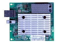 Lenovo ThinkSystem QLogic QML2692 Mezz - Adaptateur de bus hôte - ML2 - 16Gb Fibre Channel x 2 - pour ThinkSystem SN550; SN850 7ZT7A00520
