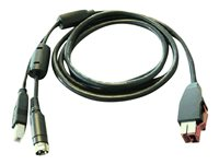 HP - Câble d'alimentation USB - pour ElitePOS G1 Retail System; Engage One; RP3 Retail System; RP9 G1 Retail System BM477AA