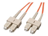 Tripp Lite 0.3M Duplex Multimode 62.5/125 Fiber Optic Patch Cable SC/SC 1' 1ft 0.3 Meter - Cordon de raccordement - SC multi-mode (M) pour SC multi-mode (M) - 0.3 m - fibre optique - duplex - 62,5 / 125 microns - orange N306-001