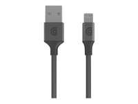 Griffin Premium - Câble Lightning - USB (M) pour Lightning (M) - 3.05 m - gris - connecteur A réversible - pour Apple iPad/iPhone/iPod (Lightning) GC40907