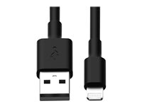 Tripp Lite Câble de chargement / synchronisation Lightning vers USB - Noir - ensemble de 10 éléments - Câble Lightning - Lightning (M) pour USB (M) - 25.4 cm - noir (pack de 10) M100-10N-BK-10