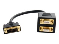 StarTech.com 1 ft / 30cm DVI to Dual VGA Y Splitter Cable - DVI-I Analog to Dual VGA, 1x DVI-I (M), 2x VGA (F) (DVISPL1VV) - Répartiteur d'écran - HD-15 (VGA) (F) pour DVI-I (M) - 30 cm - noir DVISPL1VV