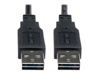 Tripp Lite 10ft USB 2.0 High Speed Reversible Connector Cable Universal M/M 10' - Câble USB - USB (M) pour USB (M) - USB 2.0 - 3.05 m - moulé - noir UR020-010