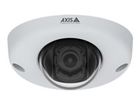 AXIS P3925-R - Caméra de surveillance réseau - panoramique / inclinaison - à l'épreuve du vandalisme - couleur (Jour et nuit) - 1920 x 1080 - montage M12 - iris fixe - Focale fixe - audio - LAN 10/100 - MPEG-4, MJPEG, H.264, AVC, HEVC, H.265 - PoE Class 2 (pack de 10) 01920-021