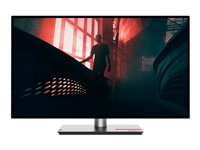 Lenovo ThinkVision P27h-30 - écran LED - QHD - 27" 63A1GAT1EU