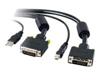 Belkin SOHO Series Replacement Cable - Câble clavier / vidéo / souris (KVM) - USB type B, DVI-D (M) pour USB, DVI-D (M) - 1.8 m - B2B F1D9104-06
