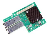 Intel Ethernet Server Adapter X520-DA2 - Adaptateur réseau - PCIe 2.0 x8 - 10 GigE X520DA2OCP