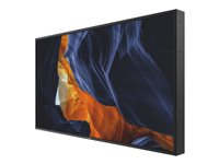 Philips 55BDL6002H - Classe de diagonale 55" (54.6" visualisable) - H-Line écran LCD rétro-éclairé par LED - signalisation numérique - 1080p 1920 x 1080 55BDL6002H/00