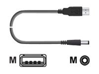 Chip PC USB Power Cable - Câble d'alimentation - USB (alimentation uniquement) (M) pour prise CC (M) - 1.8 m - pour Jack PC; Xtreme PC CPN03789