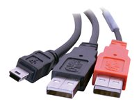 C2G 2m USB 2.0 One Mini-B Male toTwo A Male Y Cable - Câble USB - mini-USB de type B (M) pour USB, USB (alimentation uniquement) (M) - USB 2.0 - moulé 81577