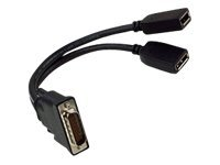 PNY - Adaptateur DisplayPort - DMS-59 (M) pour DisplayPort (F) - pour Quadro NVS 300 by PNY QSP-DMS59DP