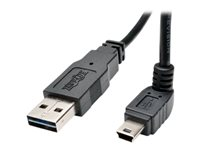 Tripp Lite 6ft USB 2.0 Converter Cable Reversible A to Down Angle 5Pin Mini B M/M 6' - Câble USB - mini USB type B (M) pour USB (M) - USB 2.0 - 1.83 m - connecteur à 90°, moulé - noir UR030-006-DNB