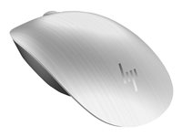 HP Spectre 500 - Souris - droitiers et gauchers - optique - sans fil - Bluetooth 3.0 - argent de brochet - pour OMEN Obelisk by HP 875; HP 15, 17; Pavilion Gaming 15, 16; Pavilion x360; Slim S01 1AM58AA#ABB