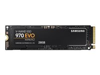 Samsung 970 EVO MZ-V7E250BW - Disque SSD - chiffré - 250 Go - interne - M.2 2280 - PCI Express 3.0 x4 (NVMe) - mémoire tampon : 512 Mo - TCG Opal Encryption 2.0 MZ-V7E250BW