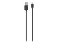 Belkin Charge/Sync Cable - Câble de données / charge pour iPad / iPhone / iPod - Lightning / USB - Lightning (M) pour USB (M) - 3 m - noir - pour Apple iPad Air; iPad Air 2; iPad mini; iPad mini 2; 3; iPad with Retina display (4th generation); iPhone 5, 5c, 5s, 6, 6 Plus; iPod nano (7G); iPod touch (5G) F8J023BT3MBLKTS