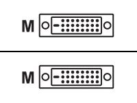 MCL Samar - Câble DVI - DVI-D (M) pour DVI-D (M) - 10 m MC373-10M