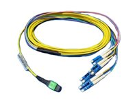 Dell 40GbE - Câble réseau - LC pour MTP - 5 m - fibre optique - pour Force10; Networking N2024, N4064, S6000, S6010; ProSupport Plus S4048 470-ABGG