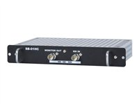 NEC HDSDI STv2 - Convertisseur vidéo - HD-SDI, SD-SDI - DVI 100012893