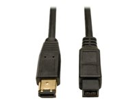 Tripp Lite 6ft Hi-Speed FireWire IEEE Cable-800Mbps with Gold Plated Connectors 9pin/6pin M/M 6' - Câble IEEE 1394 - FireWire 800 (M) pour FireWire 6 broches (M) - 1.8 m - moulé - noir F017-006