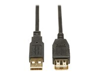 Eaton Tripp Lite Series USB 2.0 Extension Cable (A M/F) 16 ft. (4.88 m) - Rallonge de câble USB - USB (F) pour USB (M) - 4.88 m - noir U024-016