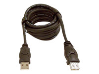 Belkin 10ft USB A/A 2.0 Extension Cable, M/F, 480Mp - Rallonge de câble USB - USB (M) pour USB (F) - USB 2.0 - 3 m - moulé F3U134B10