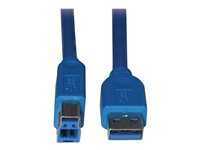 Tripp Lite 6ft USB 3.0 SuperSpeed Device Cable 5 Gbps A Male to B Male 6' - Câble USB - USB type A (M) pour USB Type B (M) - USB 3.0 - 1.8 m - bleu U322-006