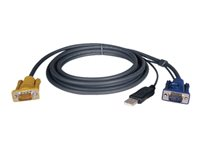 Tripp Lite 10ft USB Cable Kit for KVM Switch 2-in-1 B020 / B022 Series KVMs 10' - Câble vidéo / USB - USB, HD-15 (VGA) (M) pour HD-15 (VGA) (M) - 3.05 m - moulé P776-010