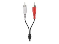 Belkin - Câble audio - RCA x 2 (M) pour mini jack stéréo (M) - 2 m - blindé - noir F3Y110BF2M