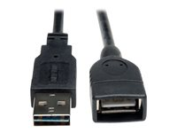 Tripp Lite Câble d'extension USB 2.0 haute vitesse réversible (A réversible vers A M/F) 3,05 m - Rallonge de câble USB - USB (F) pour USB (M) - USB 2.0 - 3.05 m - moulé - noir UR024-010