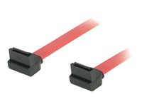 C2G 90° to 90° Right Angle - Câble SATA - Serial ATA 150/300/600 - SATA (F) pour SATA (F) - 50 cm - connecteur à 90°, connecteur à angle droit - rouge 81826