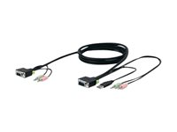 Belkin SOHO Series Replacement Cable - Câble clavier / vidéo / souris (KVM) - USB type B, DVI-D (M) pour USB, DVI-D (M) - 3 m - B2B F1D9104-10