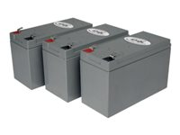 Tripp Lite UPS Replacement Battery Cartridge Kit for select UPS Brands with (3) 12V Batteries - Batterie d'onduleur - 3 x RBC53
