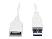 Tripp Lite 6ft USB 2.0 High Speed Extension Cable Reversible A to A M/F White 6' - Rallonge de câble USB - USB (F) pour USB (M) - USB 2.0 - 1.83 m - moulé - blanc UR024-006-WH