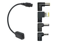 DLH - USB-C/câble d'alimentation - 24 pin USB-C (F) pour alimentation (M) - chargement rapide jusqu'à 100 W DY-KIT19-LEN