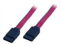 MCL Samar - Câble SATA - Serial ATA 150/300/600 - SATA (F) pour SATA (F) - 25 cm - connecteur droite MC550/3-0.25M