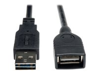 Tripp Lite 1ft USB 2.0 High Speed Extension Cable Reversible A to A M/F 1' - Rallonge de câble USB - USB (F) pour USB (M) - USB 2.0 - 30 cm - moulé - noir UR024-001