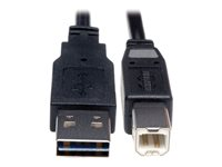 Tripp Lite 1ft USB 2.0 High Speed Cable Reverisble A to B M/M 1' - Câble USB - USB type B (M) pour USB (M) - USB 2.0 - 30 cm - moulé - noir UR022-001