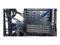 APC - Câble d'empilage - DB-25 (F) pour DB-25 (M) - 1.8 m - pour APC 16 Port Multi-Platform Analog KVM, 8 Port Multi-Platform Analog KVM AP5263