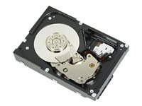 Dell - Kit client - disque dur - 12 To - 3.5" - SATA 6Gb/s - 7200 tours/min 161-BBGK