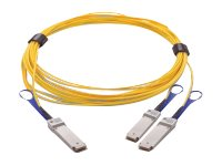 Mellanox LinkX 200Gb/s to 2x100Gb/s Active Splitter Fiber Cable - Câble InfiniBand - QSFP28 pour QSFP28 - 5 m - fibre optique - SFF-8665 - actif, sans halogène MFS1S50-H005E