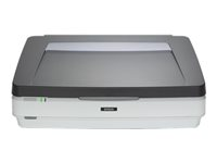 Epson Expression 12000XL Pro - Scanner à plat - A3 - 2400 dpi x 4800 dpi - USB 2.0 B11B240401BT