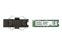 HP Z Turbo Drive - Disque SSD - 1 To - interne - pour Workstation Z2 G4 6EU84AA